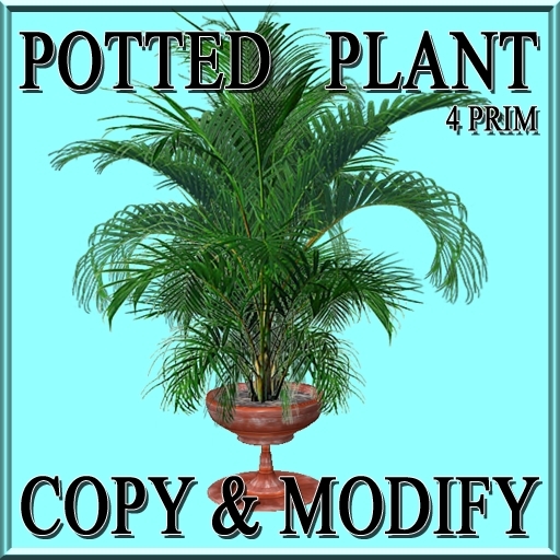 GuTi 4 Prim Terra potted Bergpalme Chamaedorea 2