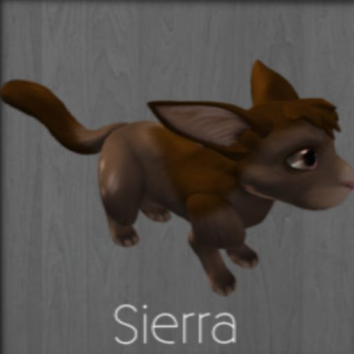 Sierra (M) Friendly Meeroo Nest ID #8533877