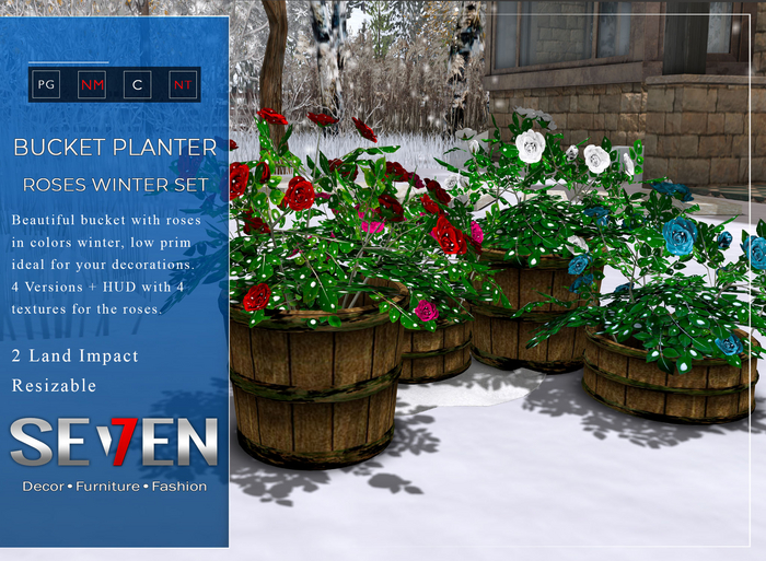 SE7EN - Bucket Planter - Roses Winter Set