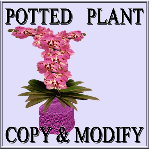 GuTi orchid sogo pearl pink in vase