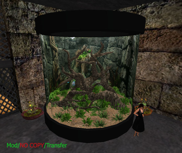 Cylinder Feature Aquarium - BOXED