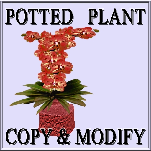 GuTi orchid sogo pearl red in vase
