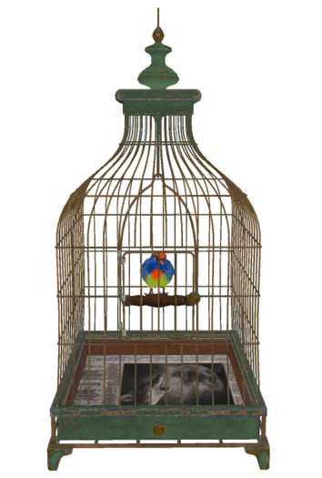 Vintage Bird Cage with Exotic Animated Bird - Old Green (Copy/Mod)