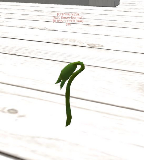 {Papillon} Cr/Sma/Nor/Aar/+ Plant