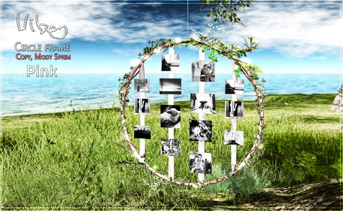 VIBES - Circle Frame Pink