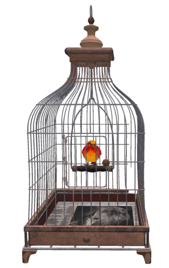Vintage Bird Cage with Exotic Animated Bird - Old Copper (Copy/Mod)