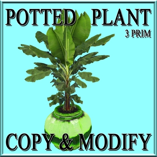 GuTi potted Banana green