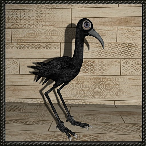 Cica's Bird X.