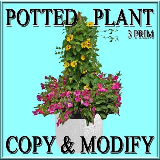 GuTi potted black-eyed susan and petunia