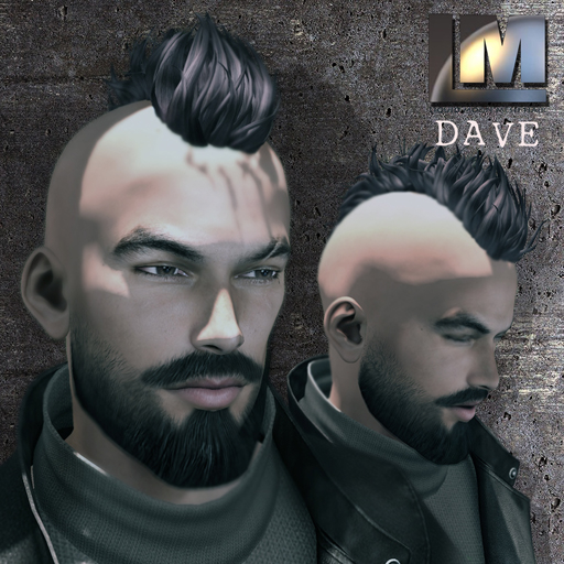 ~LM~ DAVE ( wear to unpack )