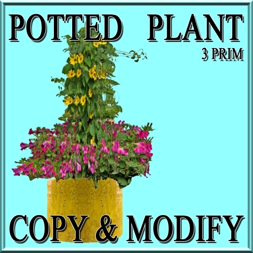 GuTi potted black-eyed susan and petunia 1