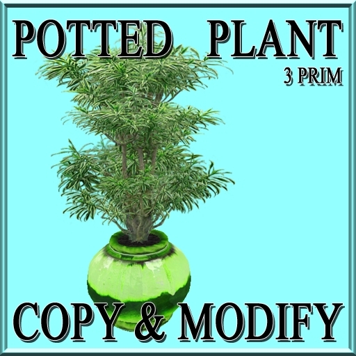 GuTi potted Dracaena Drachenbaum
