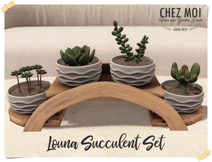 CHEZ MOI ♥ Louna Succulent Decor