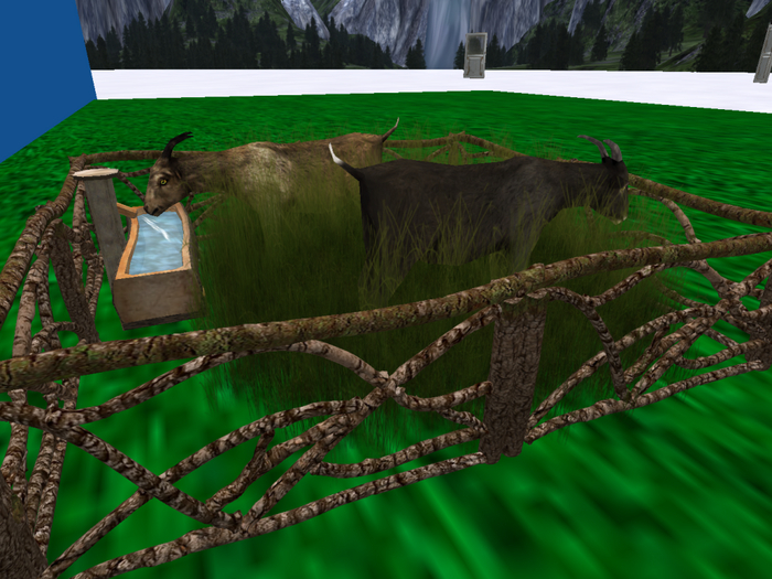 Farm Fresh2-Goats in Field Pen