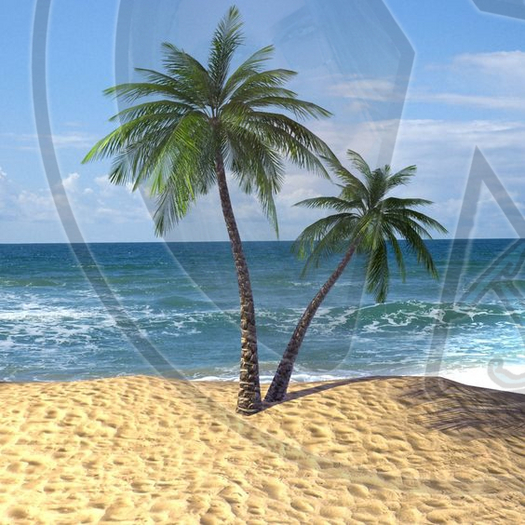175 - Tropical - Beach - Sea - Palm Tree - Land Divider - Privacy Screen
