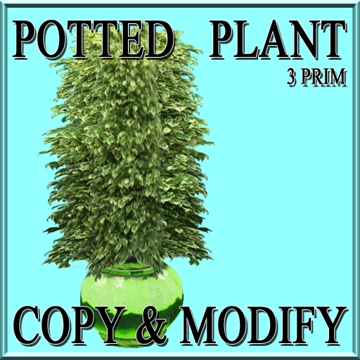 GuTi potted ficus benjamini 5