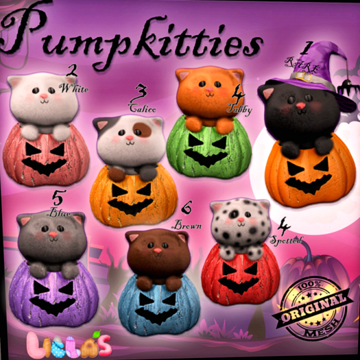 05 Lilla's Pumpkitties *Boxed* Blue