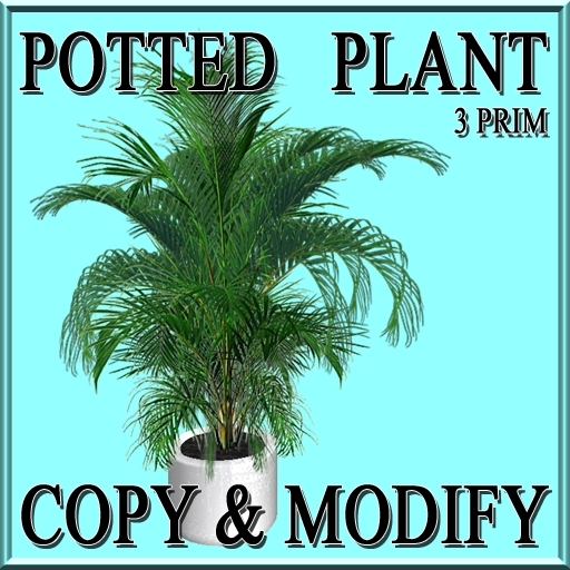 GuTi potted plant Bergpalme Chamaedorea 2