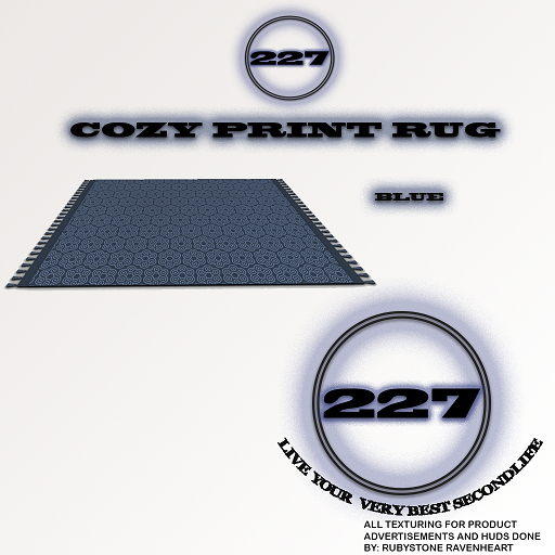 227 - COZY PRINTED RUG (BLUE)