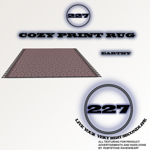 227 - COZY PRINTED RUG (EARTHY)