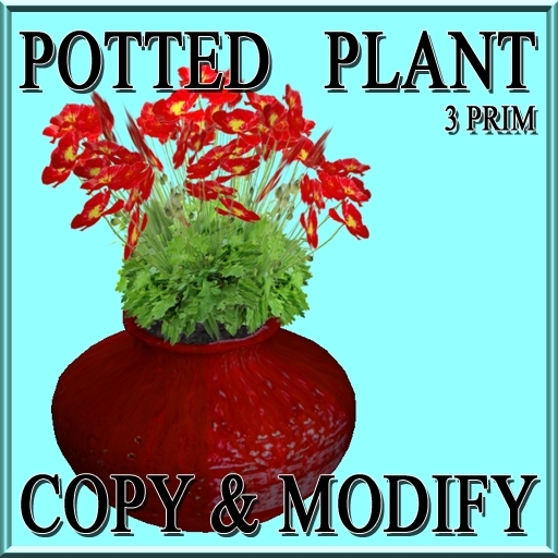 GuTi potted red poppy roter Mohn