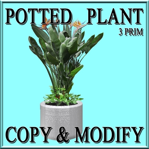 GuTi potted Strelizia Strelitzia 1
