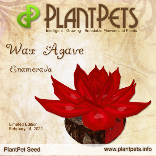 PlantPet Seed [Wax Agave *Enamorada*] (LIMITED)