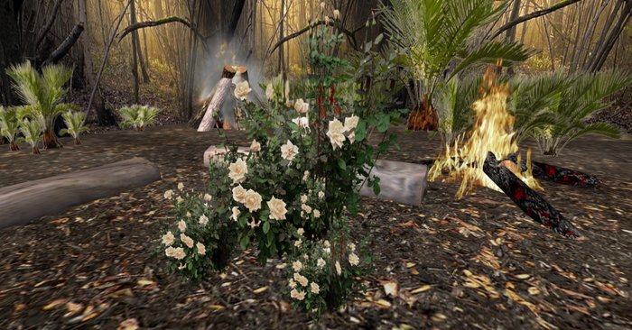 Rose bush cream 134 + bonus rose bush