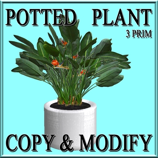GuTi potted Strelizia Strelitzia 2