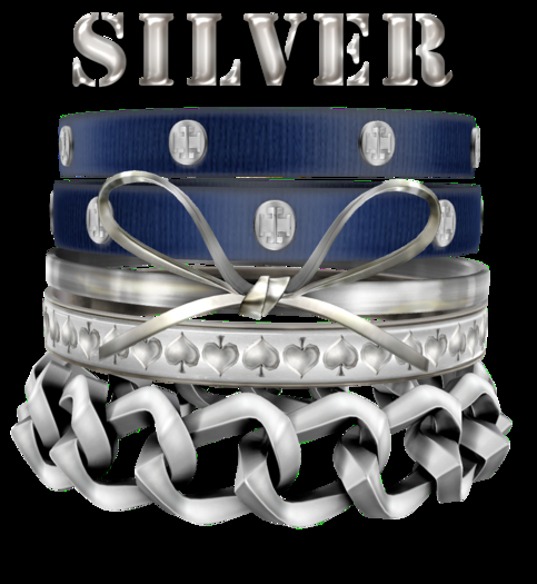 VIBES - Trip Bangle (SILVER) 