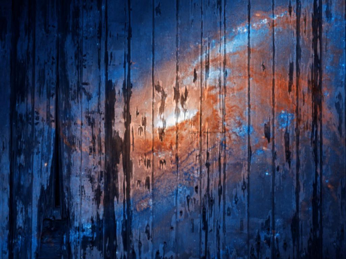 Rotting Wood Texture