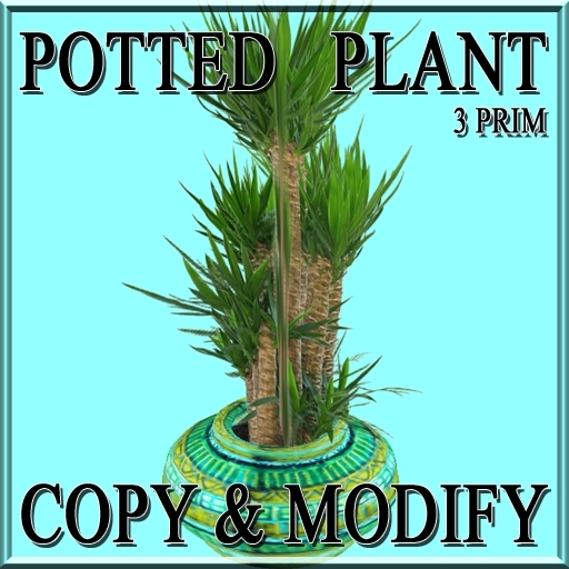 GuTi potted yucca green