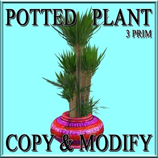 GuTi potted yucca pink