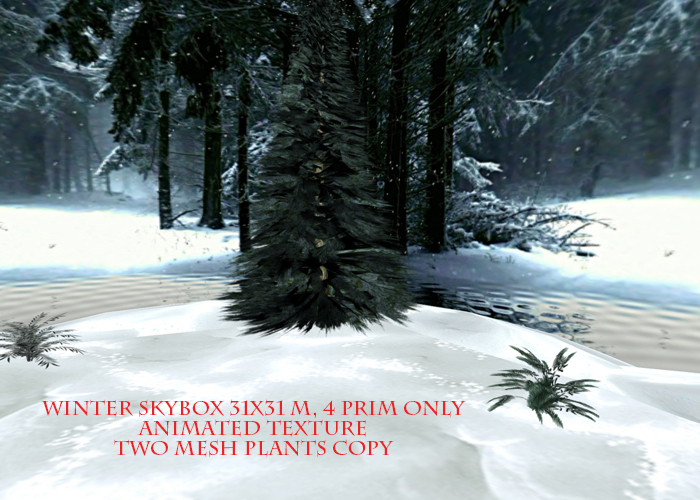 *Heart* - Winter Skybox