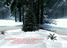 *Heart* - Winter Skybox