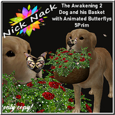 NN_the-Awakening2