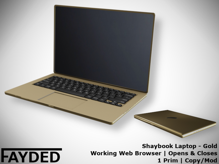 FAYDED - Shaybook Laptop Gold