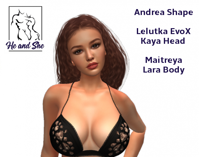 Andrea Shape For LeLutka EvoX KAYA Head 3.1 & Maitreya Lara Body LEL *** Special Promotional Sale Price Promo only 99L *
