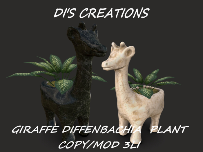 GIRAFFE DIFFENBACHIA  PLANT