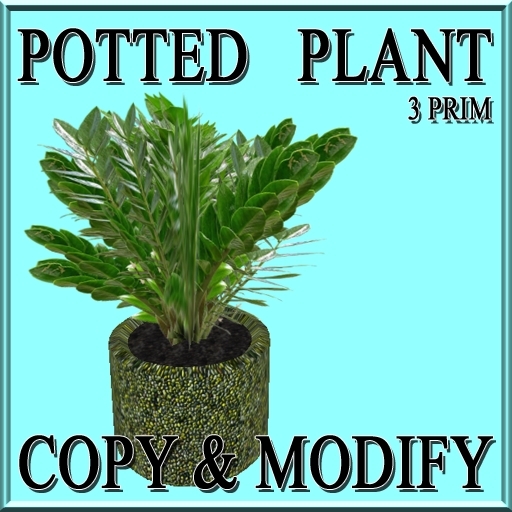 GuTi pottted copyable Zamioculcas zamiifolia