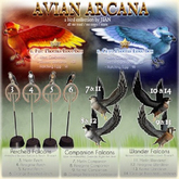 JIAN Avian Arcana 14. Orange Breasted Falcon Wanderer BOX