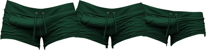 RIOT / Mobius Shorts - Forest