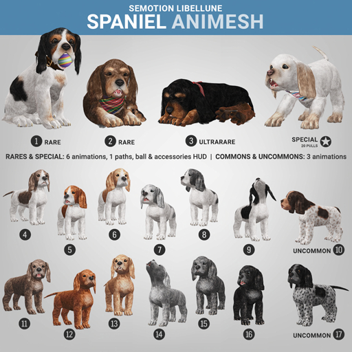 SEmotion Libellune Spaniel Animesh #3 ULTRARARE