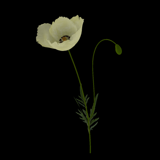 {Papillon} PastelD Poppy Starter