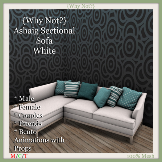 {Why Not?} Ashaig Sectional Sofa-White-Boxed