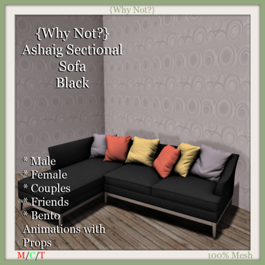 {Why Not?} Ashaig Sectional Sofa-Black-Boxed