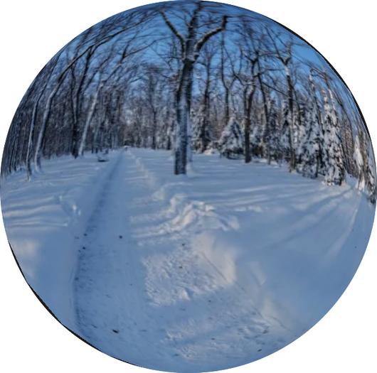 Orbit Spherical Sky Box - Snow Forest, Ontario Canada