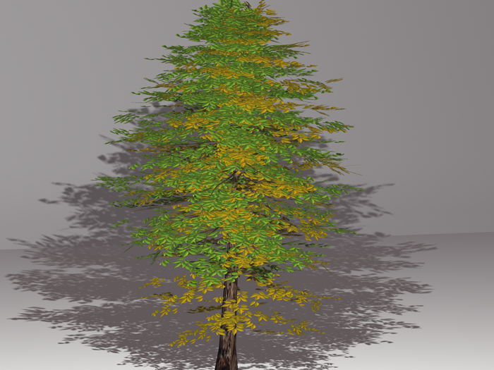 Tree09 FULLPERM (BOX)
