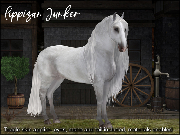 ME_Teegle applier Lippizan Junker