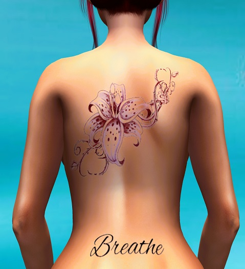 Orchid Breathe